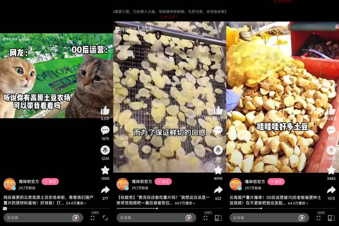 小紅書2天漲粉2萬(wàn)，“貓meme”成流量密碼？薯片帶你解鎖爆款邏輯